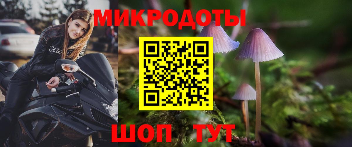 Псилоцибиновые грибы Psilocybine cubensis  Вход с VPN  Протвино 